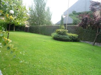 Chalet adosado en esquina - Jard�n