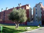 Piso de 3 dormitorios en el Casar de Getafe