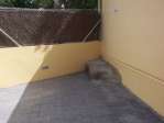 Bajo con terraza junto al tren