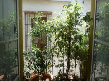 Apartamento muy luminoso y alegre - Otras fotos