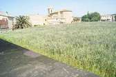 Masia reformada