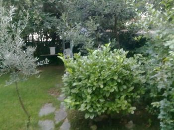 Chalet adosado con bonito jard�n - Jard�n