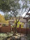 Casa de 520metros en zona tranquila