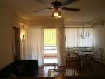 Apartamento 1 dormitorio la Campana