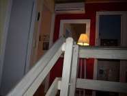 Alquiler casa con 2 ba�os Boscos de tarragona - Otras fotos