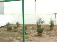 Amplio piso con gran Terraza en el Centro de Huelva - Sal�n