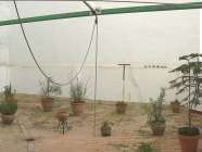 Amplio piso con gran Terraza en el Centro de Huelva - Sal�n