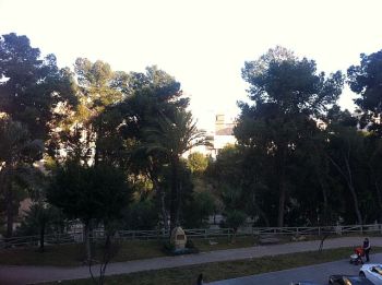 Alquiler Piso Elx / Elche