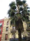Alquiler piso con 1 habitacion Ciutat vella - Otras fotos