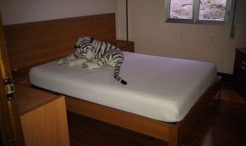 Piso de alquiler en markonzaga - Dormitorio