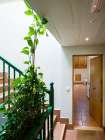 Alquiler Loft. Casco antiguo. Logro�o - Sal�n