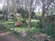 Casa rustica, lloret de vista alegre, a 35 minutos de palma - Dormitorio