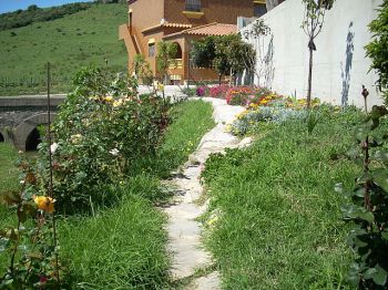 Planta Baja, 3 dormitorios,porche, con campo alrededor