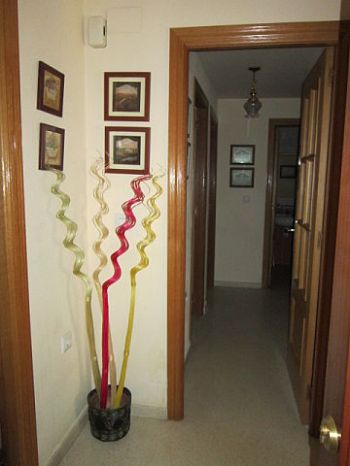 Piso amueblado en Pl. Virgen de Botoa - Entrada