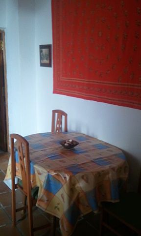 Duplex 1 dor estudio patio