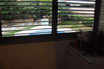 Obra semi nueva con piscina - Terraza