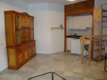 Apartamento amueblado de 1 dormitorio - Sal�n