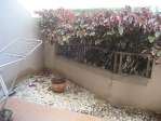 Piso la Tejita, 1 habitaci�n, 2 terrazas, gastos