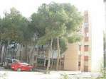 Piso en alquiler en Urbanizaci�n Sant Salvador