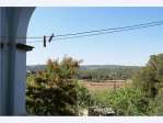 Alquiler piso terraza Monnars