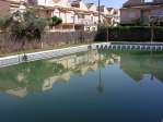 Playa grao pinguins 2 hab alquiler todo el a�o