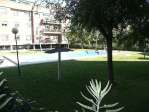 Bami la palmera