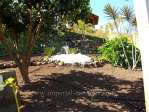 Finca con casa y peque�a casa de hu�spedes, con