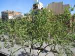 Vistas a Rambla Badal, 3 habitaciones, alto,