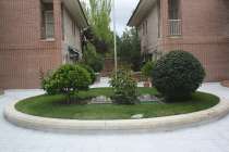 Foto Chalet en Soto de la Moraleja
