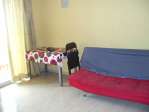 Precioso estudio con sol�rium