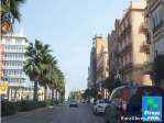Magn�fico �tico en Valencia