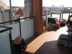 �tico calle Sants, supervistas, obra nueva,