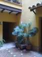 Loft amueblado