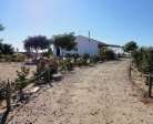 2000706 Huelva Alquiler finca y casa cerca de la