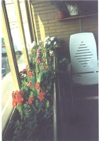 Vivienda similar