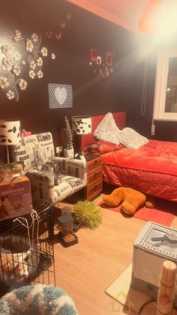 Vivienda similar