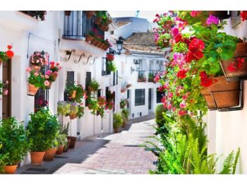 Vivienda similar