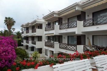 Imagen Estudio, Distrito Botánico, Puerto de la Cruz