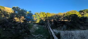 Imagen Alquiler piso amueblado San blas-pau