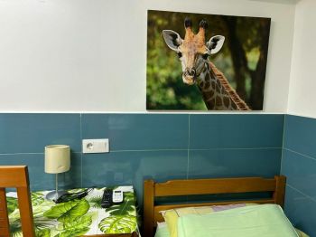 Vivienda similar